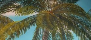 Painted Palm Tree Mural by Arthur Morehead Art-Faux Wall Designs